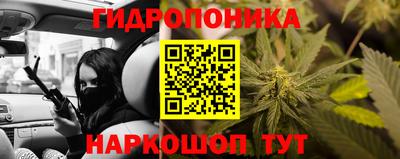 мяу мяу мука Рыбинск