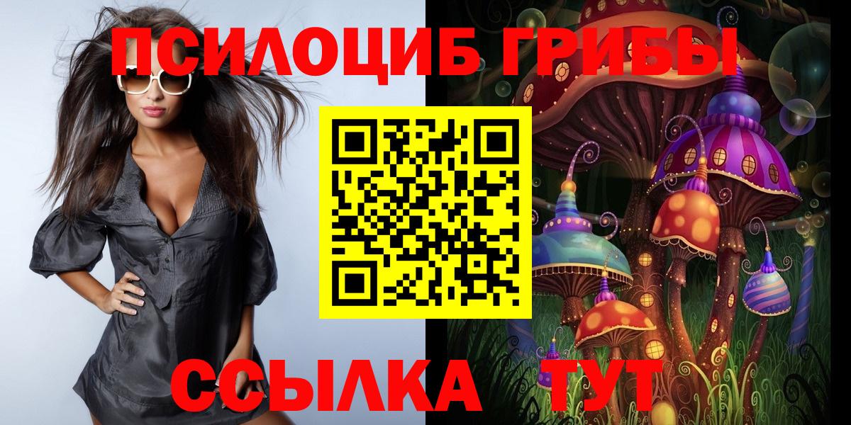 Псилоцибиновые грибы Psilocybe  Псилоцибиновые грибы MAGIC MUSHROOMS  Похвистнево  Вход с VPN 